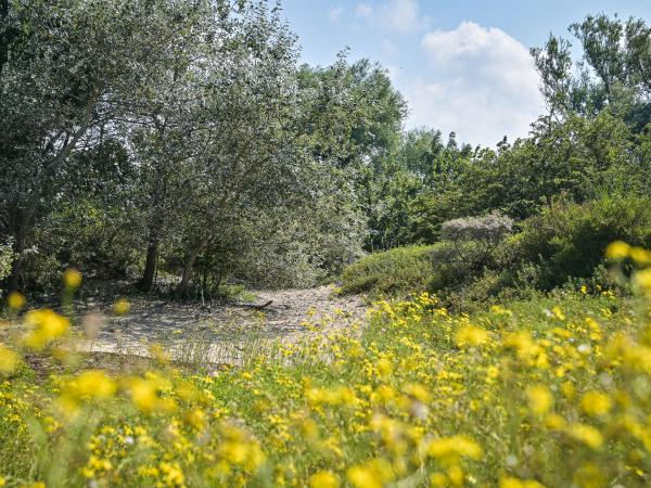 Noordduinen